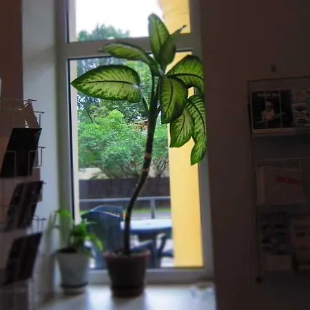 Szálloda Vilmaja 3*